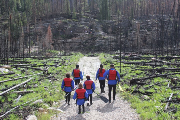 People in life vests walking with paddles through a forest with charred trees.