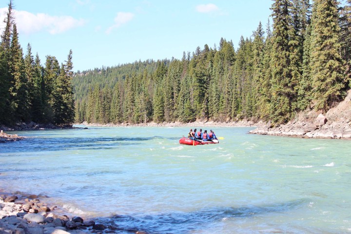 a small boat in a body of water surrounded by trees